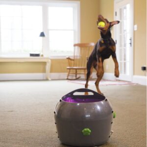 Метатель мячей для собак PetSafe Automatic Ball Launcher